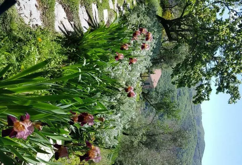 Aamiaismajoitus (B&B) Pietrantica   Affittacamere Con Giardino Nuova Apertura A Trebiano  Citr