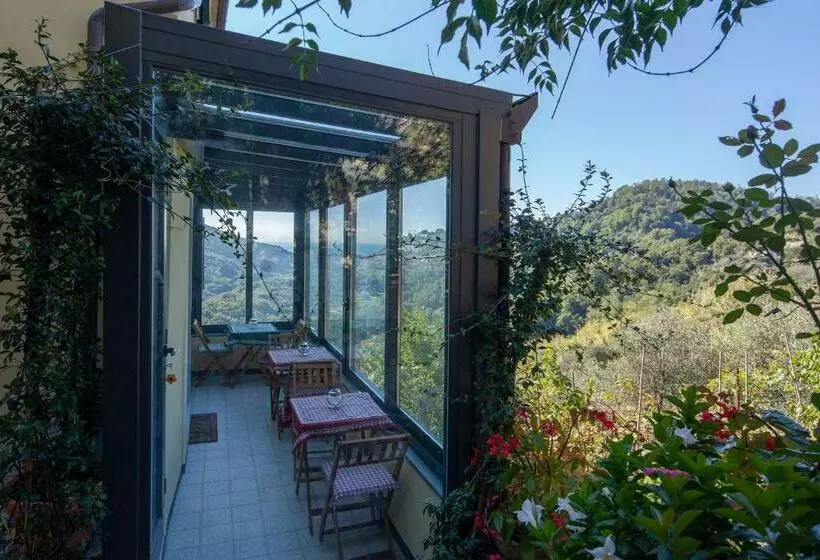 Aamiaismajoitus (B&B) Pietrantica   Affittacamere Con Giardino Nuova Apertura A Trebiano  Citr