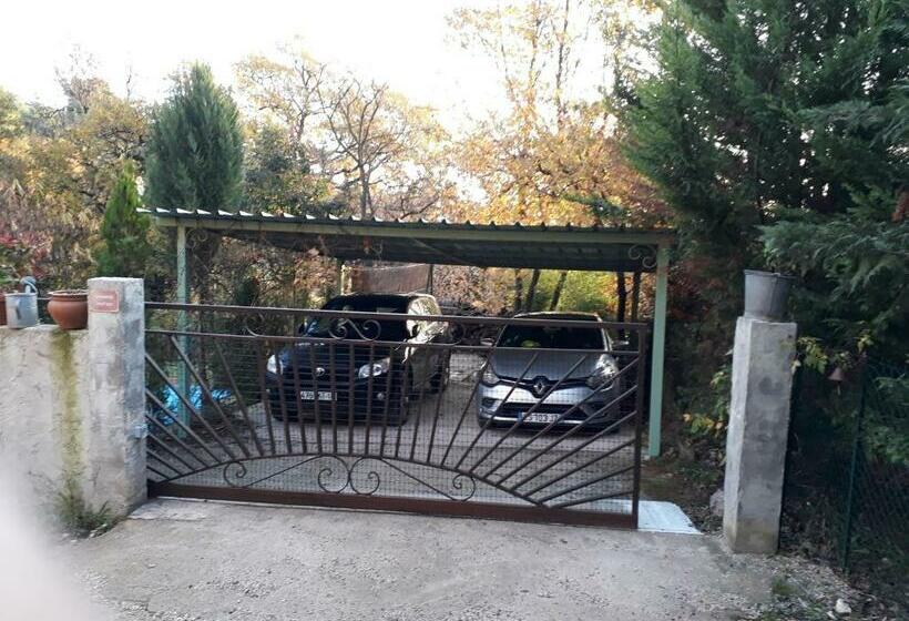 Пансион Patin Couffin