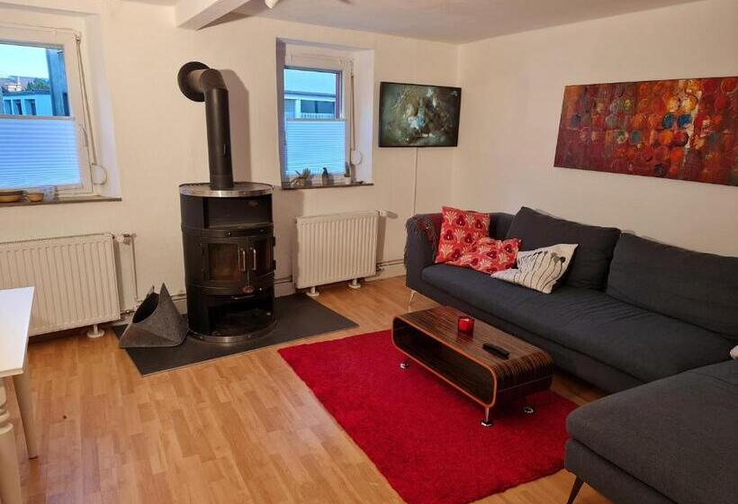 Schönste Lage Am Rhein In Unmittelbarer Stadtnähe, B & B