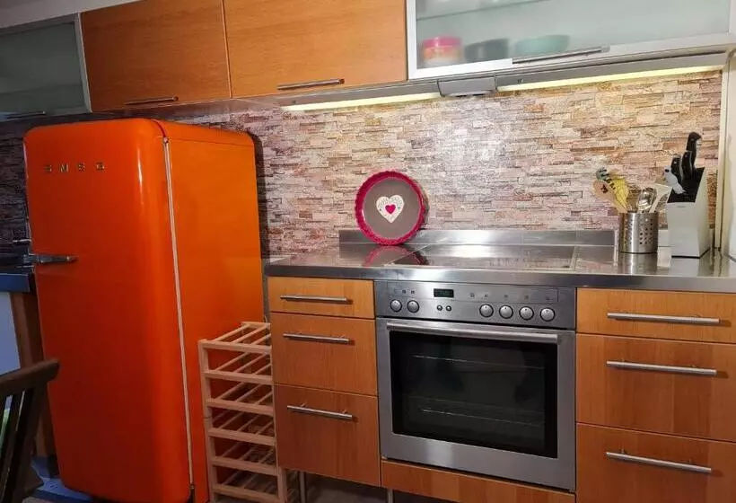 Schönste Lage Am Rhein In Unmittelbarer Stadtnähe, B & B