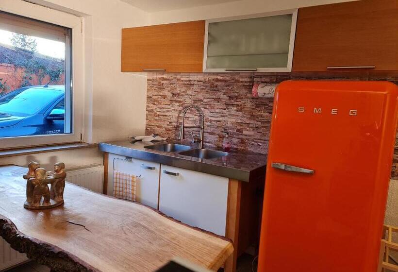 Schönste Lage Am Rhein In Unmittelbarer Stadtnähe, B & B