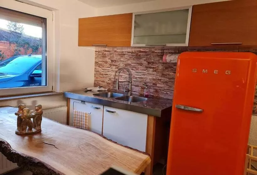 Schönste Lage Am Rhein In Unmittelbarer Stadtnähe, B & B