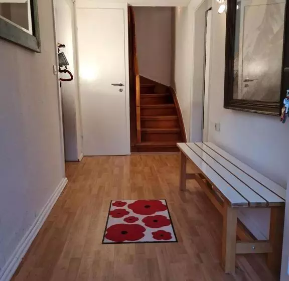 Schönste Lage Am Rhein In Unmittelbarer Stadtnähe, B & B