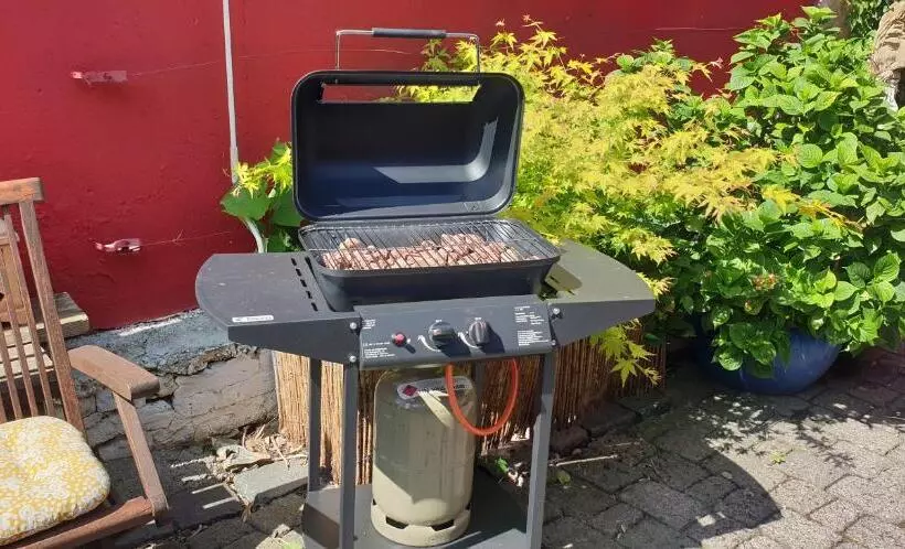 Schönste Lage Am Rhein In Unmittelbarer Stadtnähe, B & B