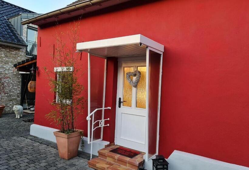 Schönste Lage Am Rhein In Unmittelbarer Stadtnähe, B & B