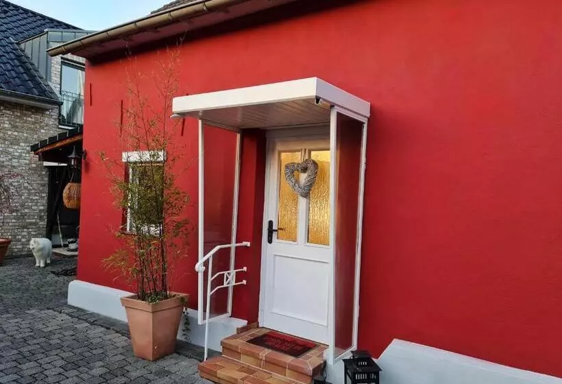 Schönste Lage Am Rhein In Unmittelbarer Stadtnähe, B & B