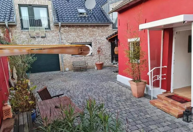 Schönste Lage Am Rhein In Unmittelbarer Stadtnähe, B & B