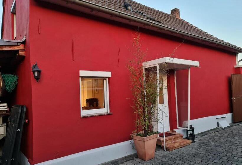 Schönste Lage Am Rhein In Unmittelbarer Stadtnähe, B & B