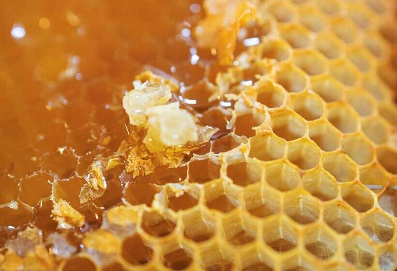 Greet Hotel Marseille Provence Aéroport