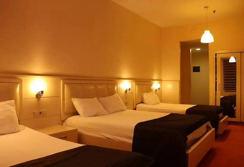 호텔 Hangover Central