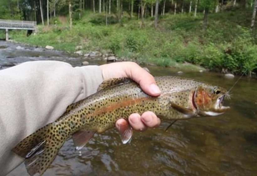 Отель Restaurant Ochsenwirtshof