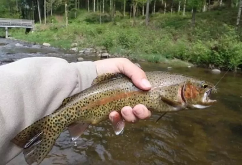 Отель Restaurant Ochsenwirtshof