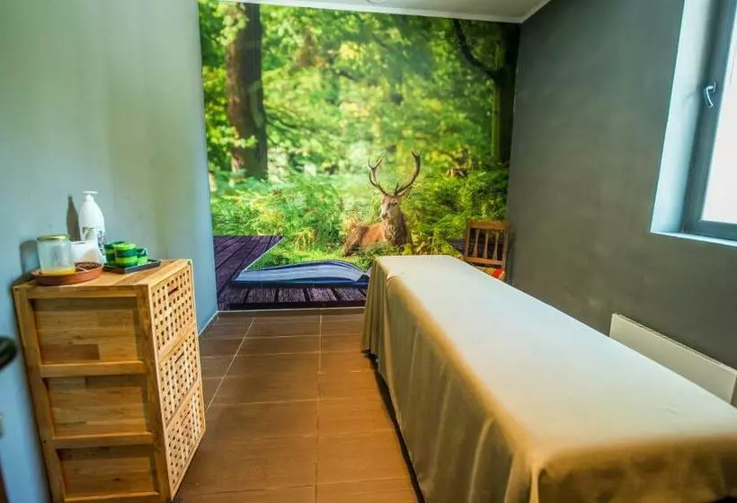 Snezhanka Hotel Pamporovo   Half Board & Ski