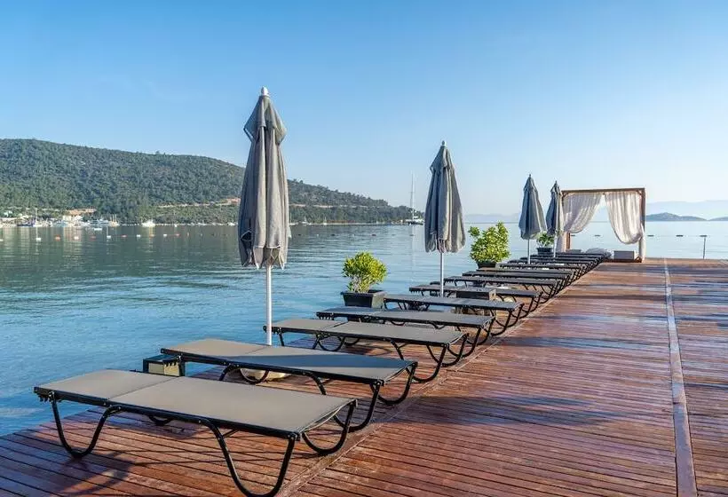 Moyo Luxury Boutique Hotel & Beach