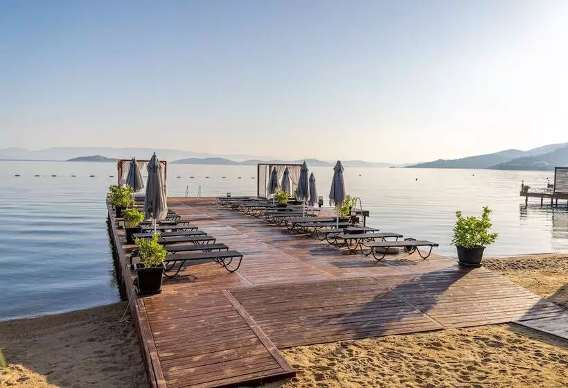 Moyo Luxury Boutique Hotel & Beach