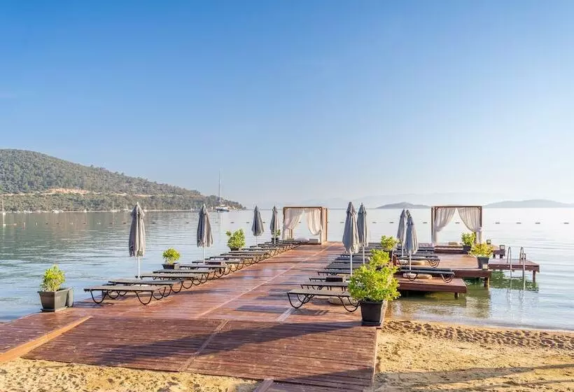 Moyo Luxury Boutique Hotel & Beach