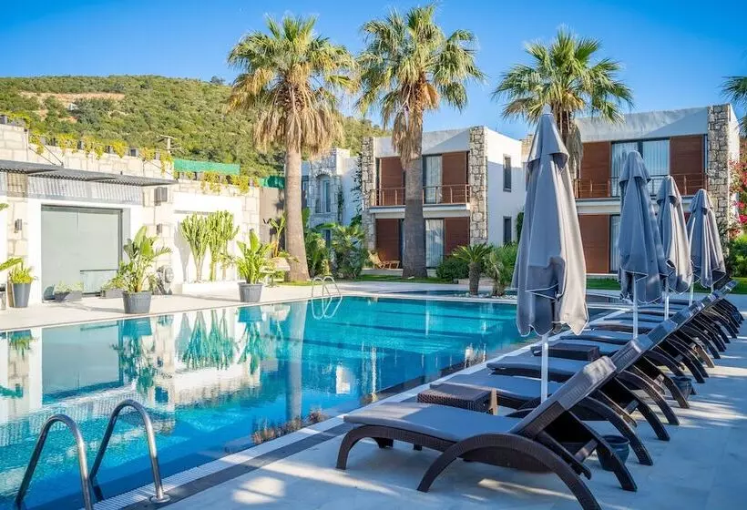 Moyo Luxury Boutique Hotel & Beach