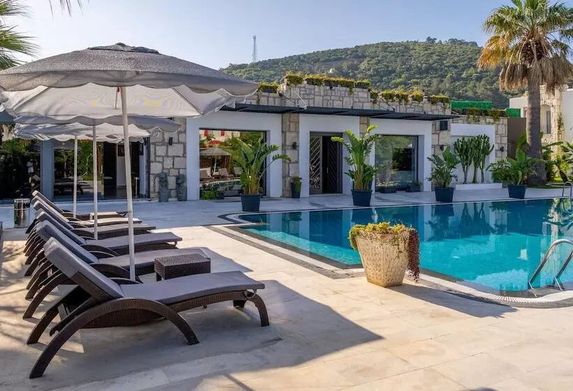 Moyo Luxury Boutique Hotel & Beach