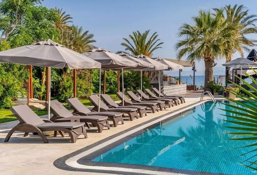 Moyo Luxury Boutique Hotel & Beach