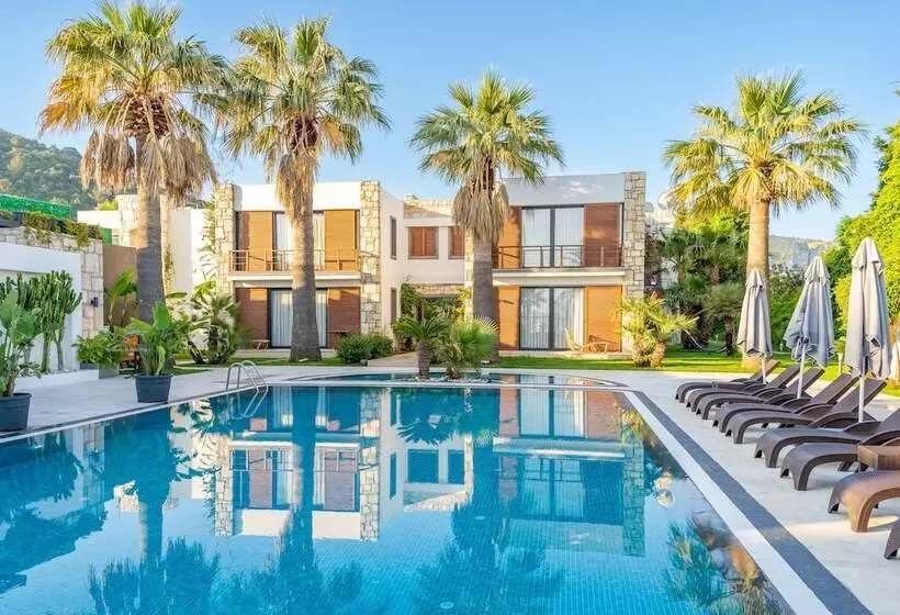 Moyo Luxury Boutique Hotel & Beach