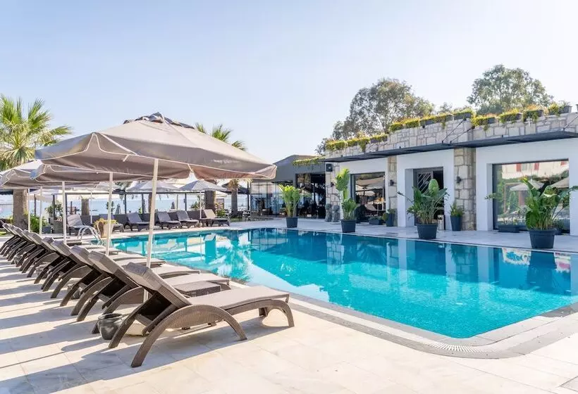 Moyo Luxury Boutique Hotel & Beach