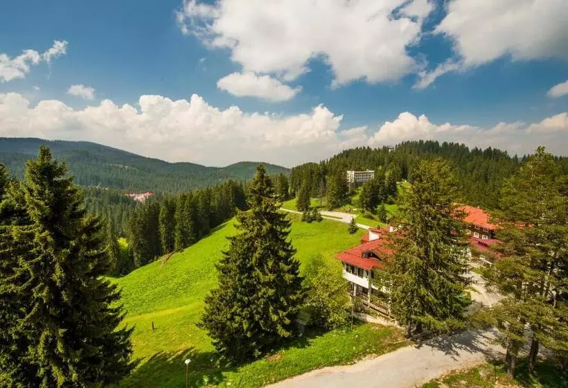 Snezhanka Hotel Pamporovo   Half Board & Ski