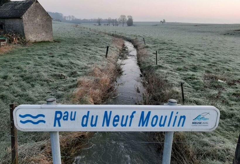 צימר Aura D épices