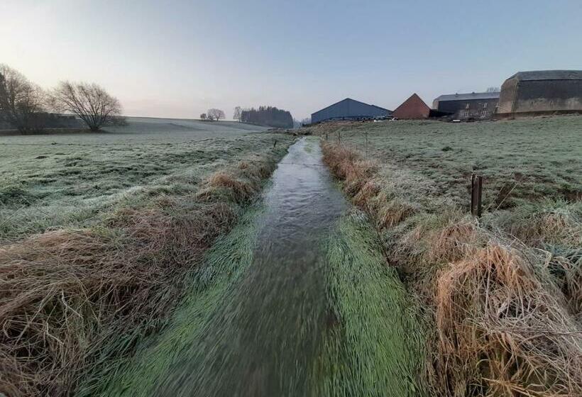 צימר Aura D épices