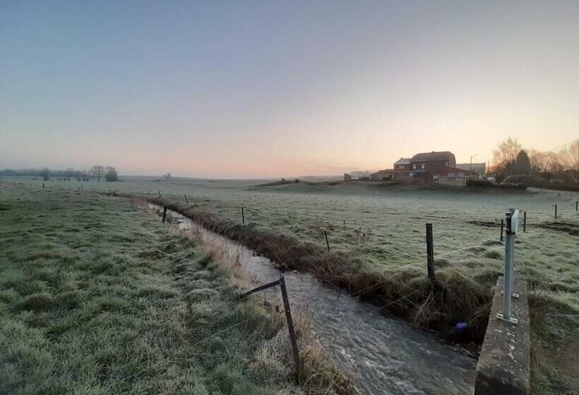 צימר Aura D épices