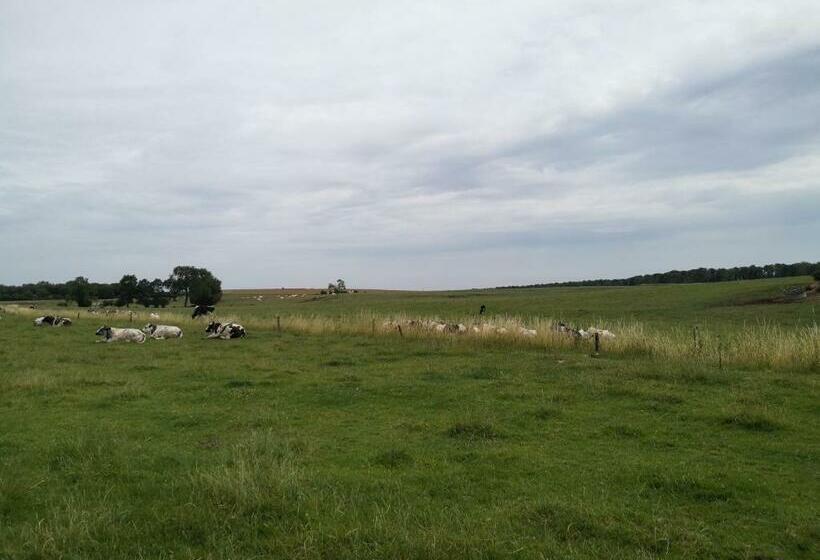 צימר Aura D épices