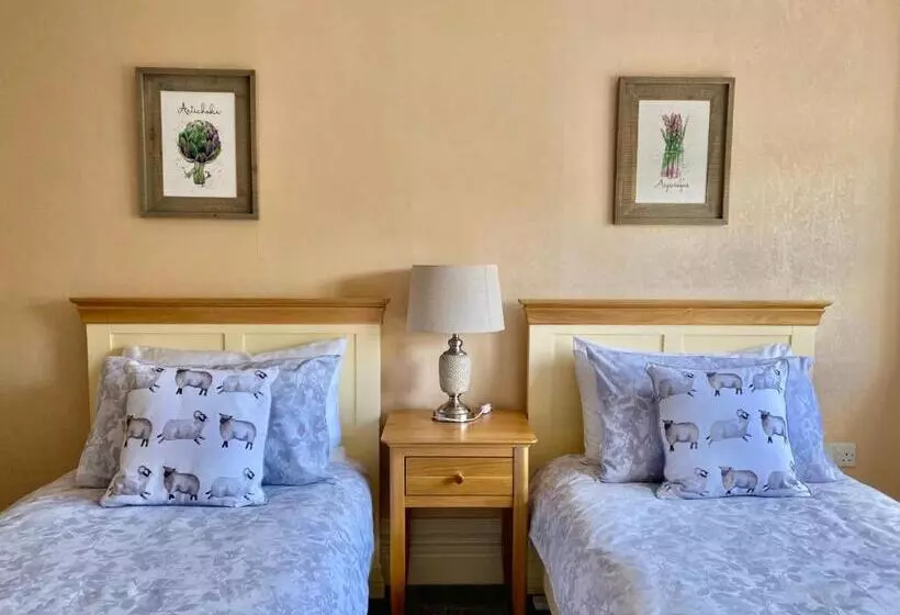 تختخواب و صبحانه Bailey S Court, Guest Accommodation