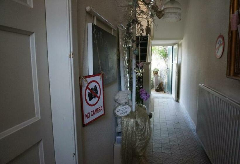 צימר De Bezige Bij