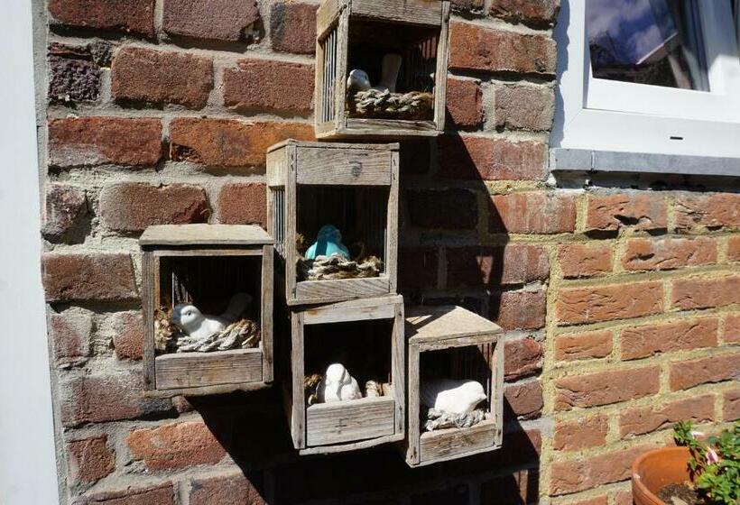 צימר De Bezige Bij