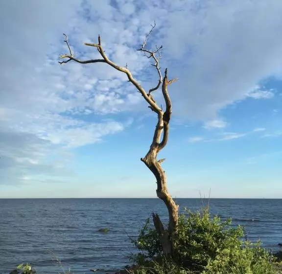 ベッドアンドブレックファースト Rum På Landet