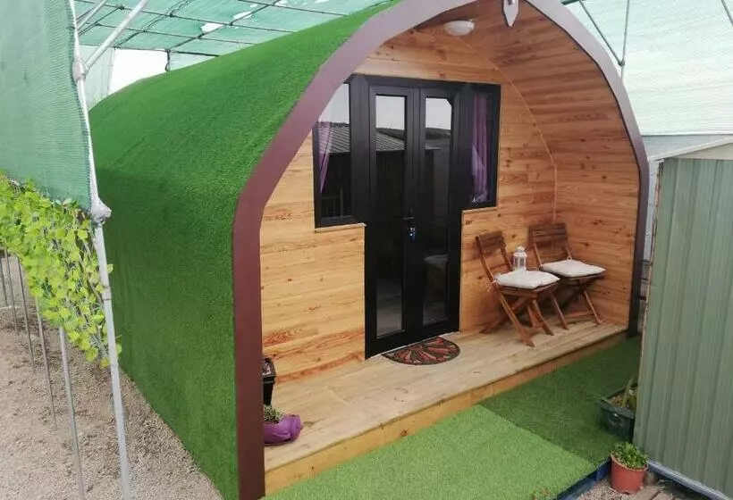 ペンション Casita De Verde