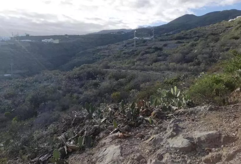 ペンション Casita De Verde