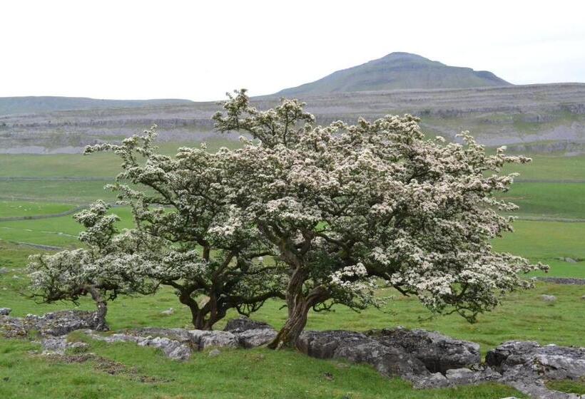 بنسيون Dalecote Barn Bed & Breakfast