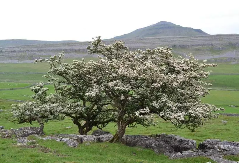 Majatalo Dalecote Barn Bed & Breakfast