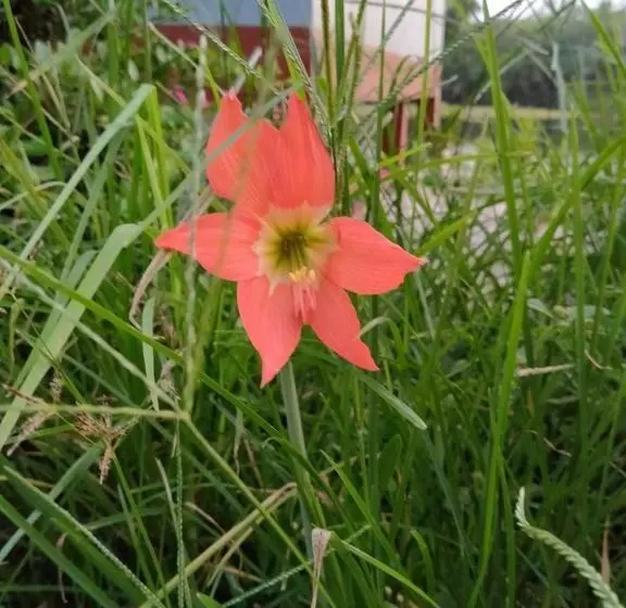 Majatalo Khum Thong Resort