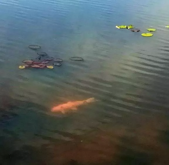 Majatalo Khum Thong Resort