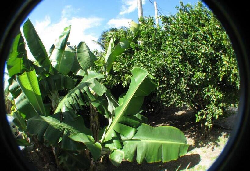 پانسیون Le Temps D Une île