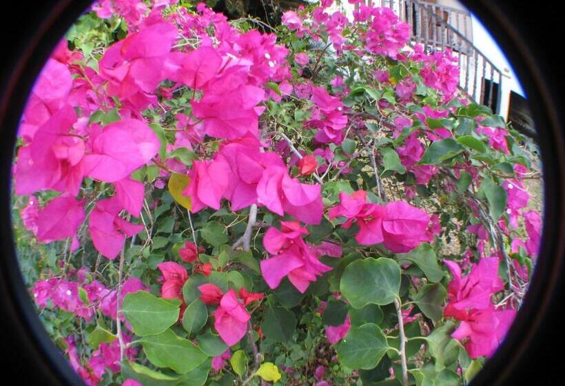 پانسیون Le Temps D Une île