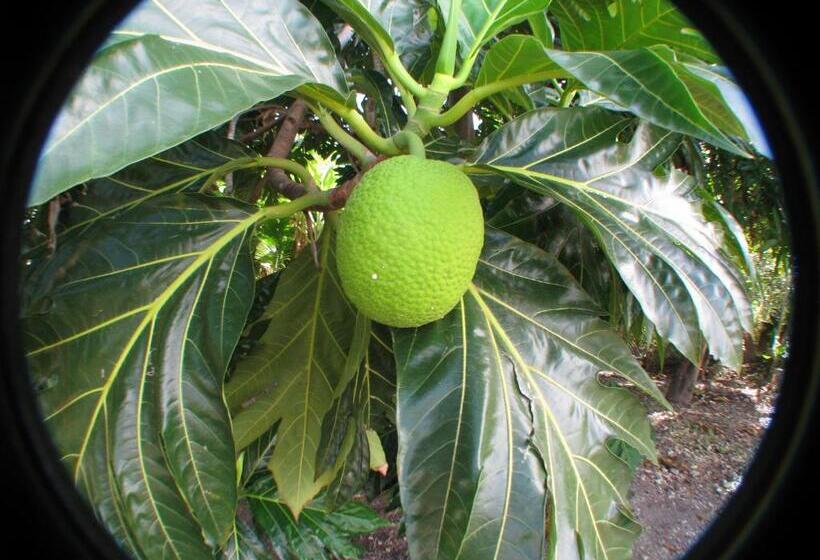 پانسیون Le Temps D Une île