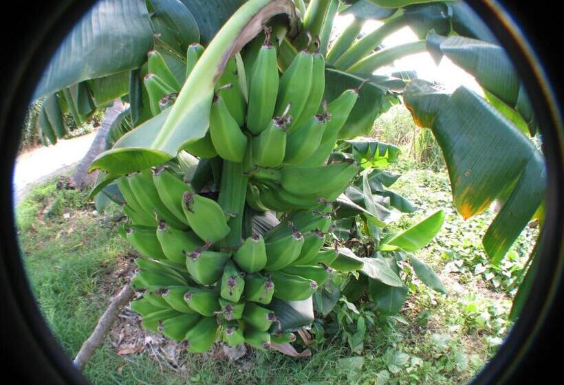 پانسیون Le Temps D Une île