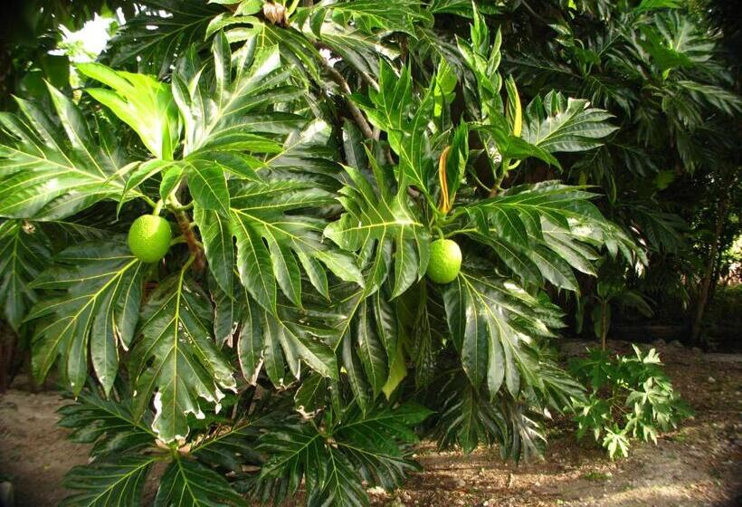 پانسیون Le Temps D Une île