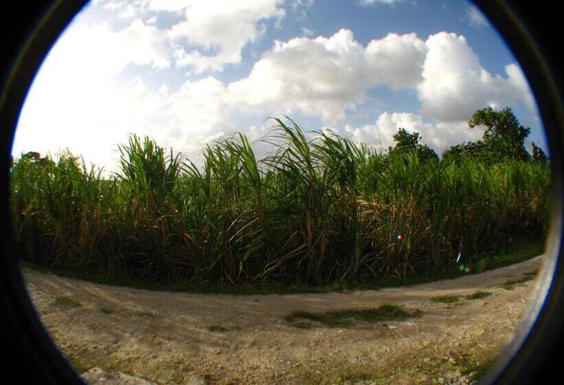 پانسیون Le Temps D Une île