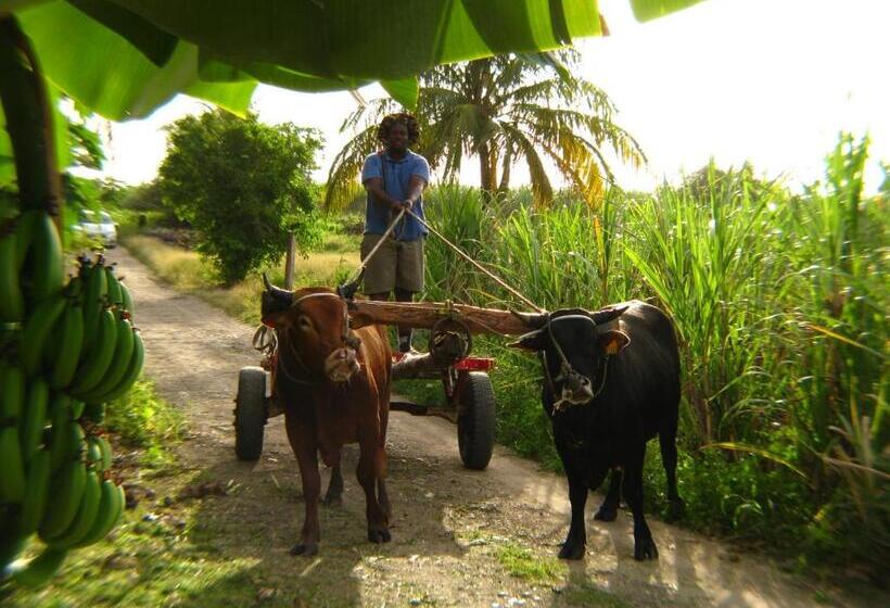 پانسیون Le Temps D Une île