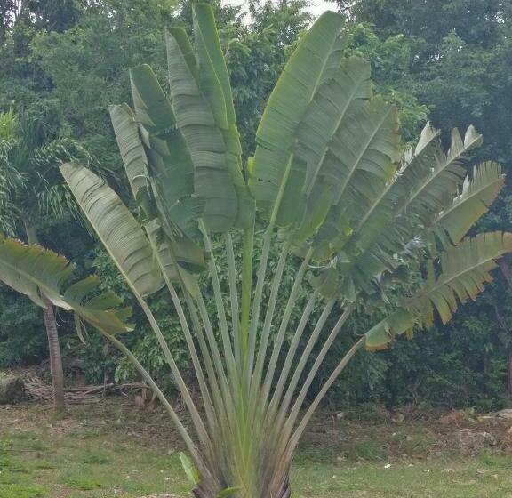 پانسیون Location Bellevue