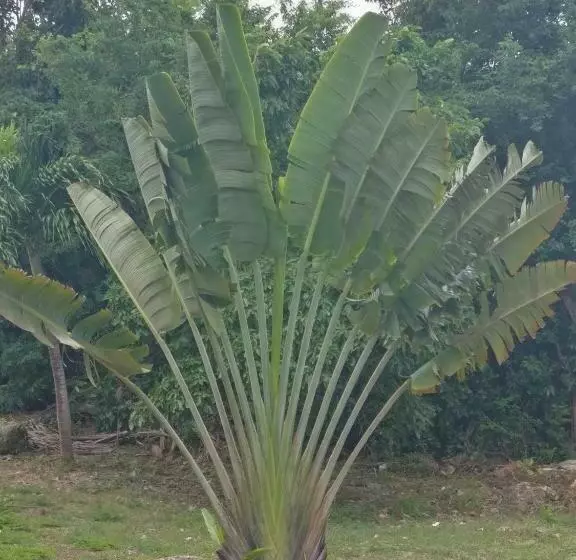 پانسیون Location Bellevue